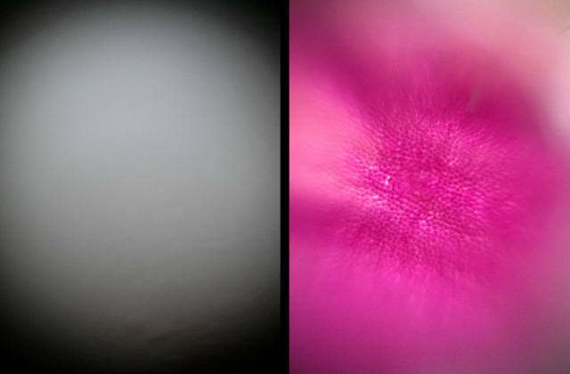 1. 自然光 : 試料を置いていない状態の写像(左)と、試料を置いた状態の写像(右)